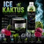Chillma 500gr - Ice Caktus ( Δροσερός Κάκτος )